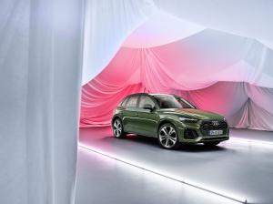 Audi Q5 40 TDI Quattro S-Line 2020 года  (WW)